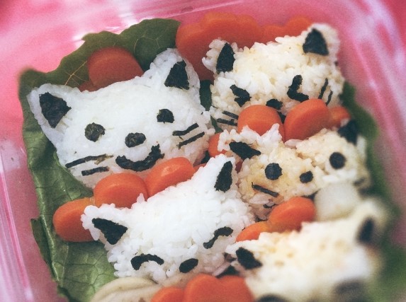 A rice ball with a cute cat face.